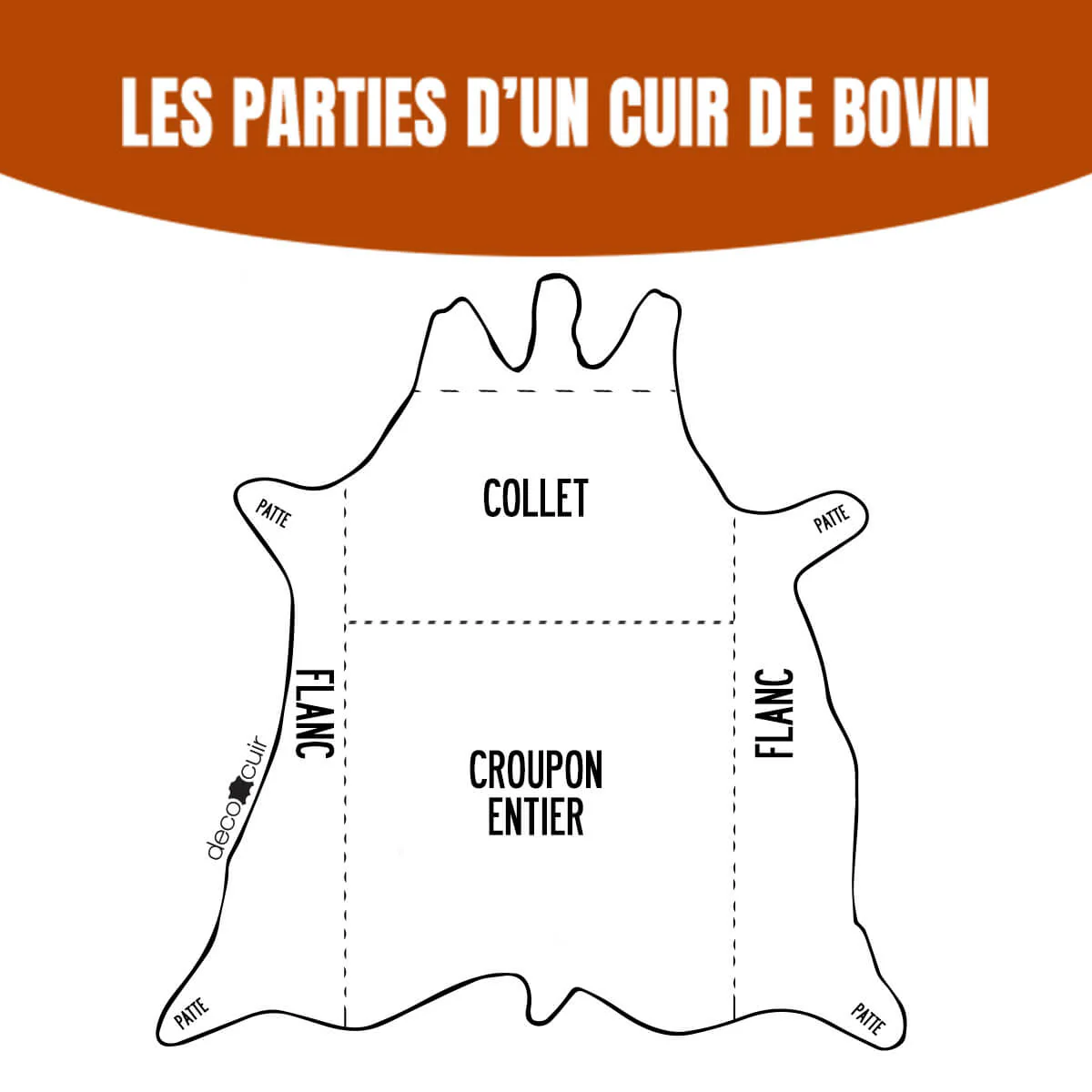 Morceau de cuir de collet tannage végétal NATUREL - CLASSIC - Image 14