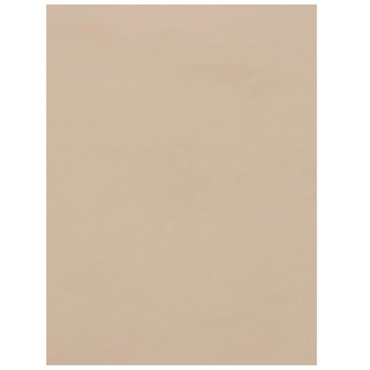 Morceau de cuir de collet tannage végétal NATUREL - PREMIUM - Image 3