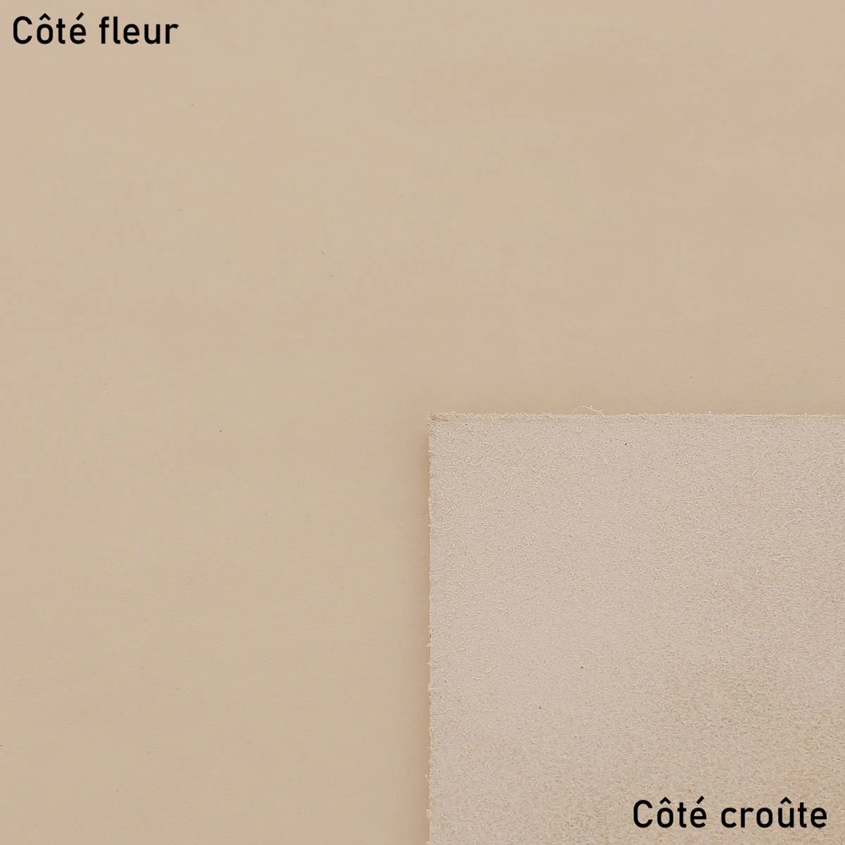 Morceau de cuir de collet tannage végétal NATUREL - PREMIUM - Image 5