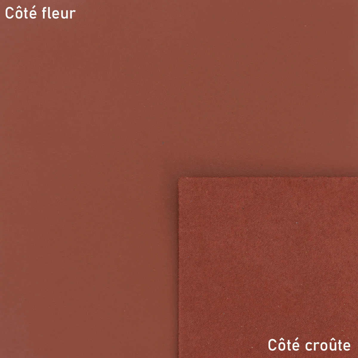 Peau de cuir de veau SATINLYS - MARRON BRIQUE - Image 3