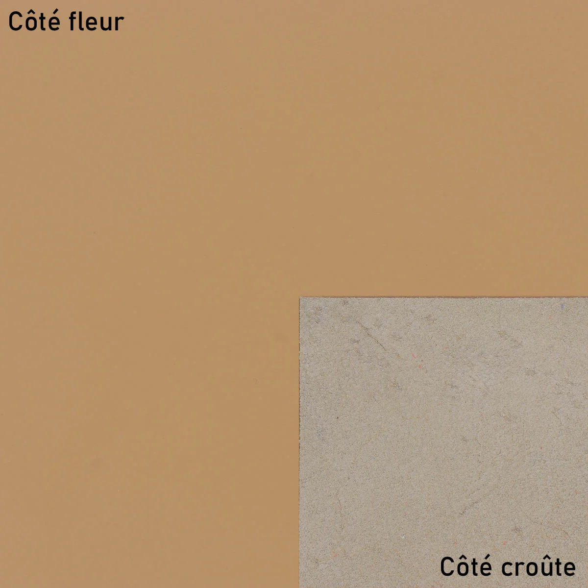 Morceau de cuir SATINLYS - CAPPUCCINO - Image 4