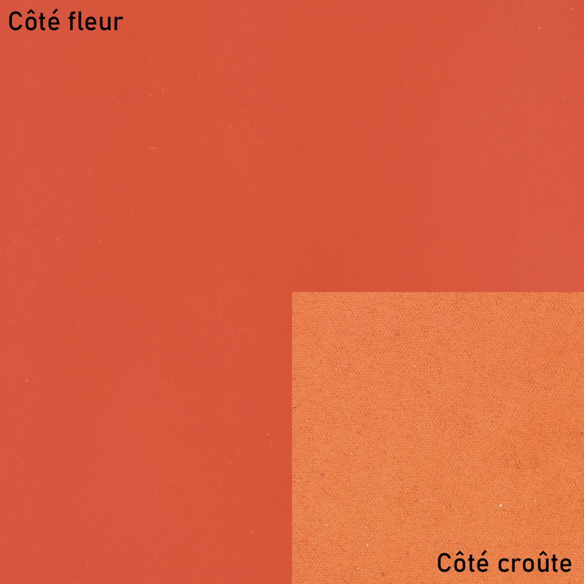 Morceau de cuir SATINLYS - ORANGE - Image 3