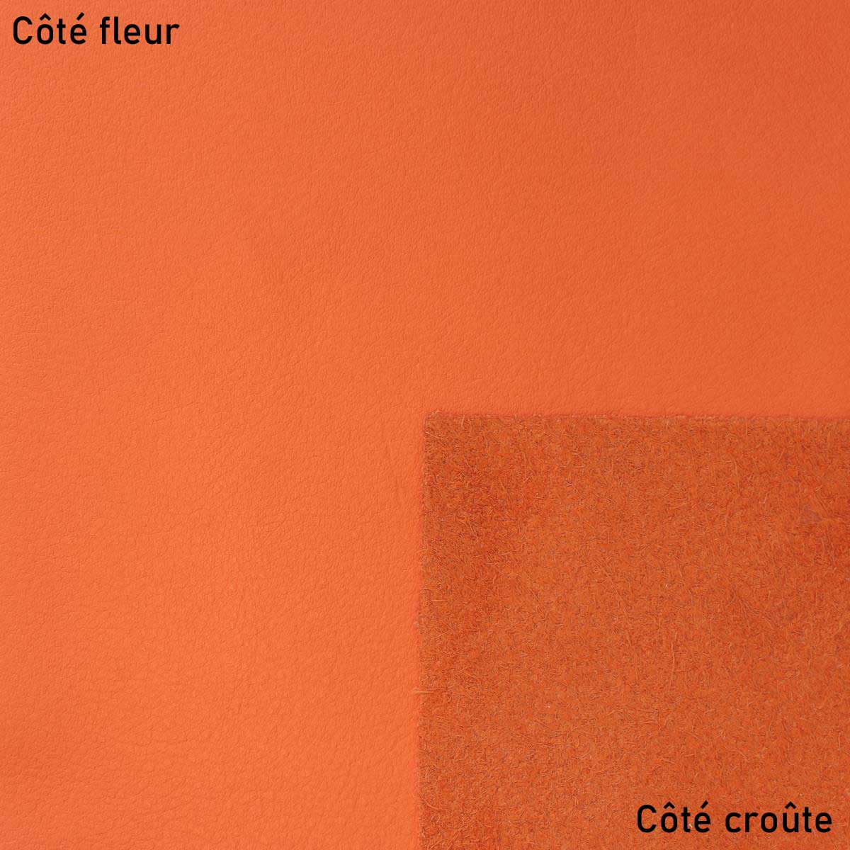 Morceau de cuir SWEET 2 - ORANGE - Image 3