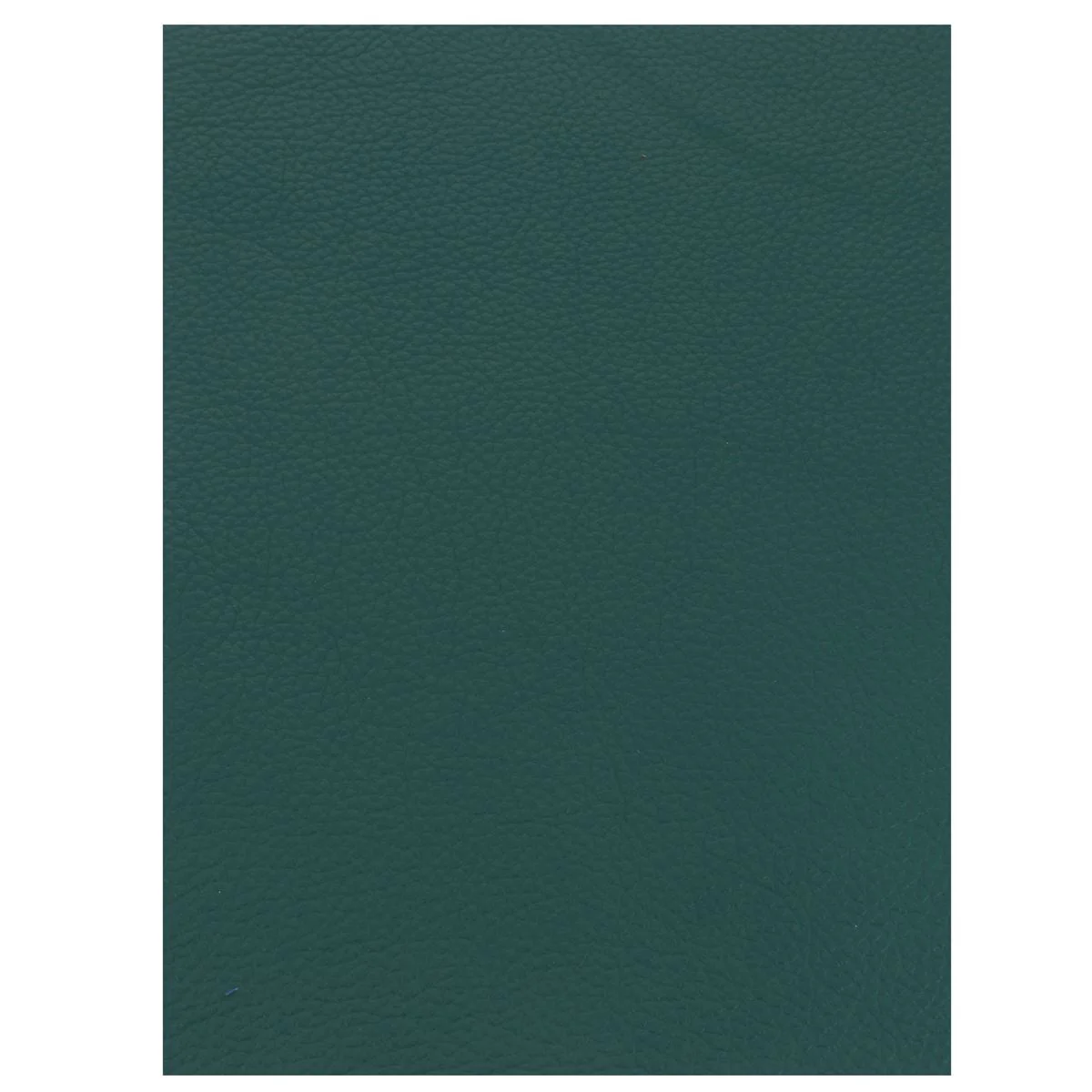 Morceau de cuir GRANITE - VERT BOUTEILLE - Image 3