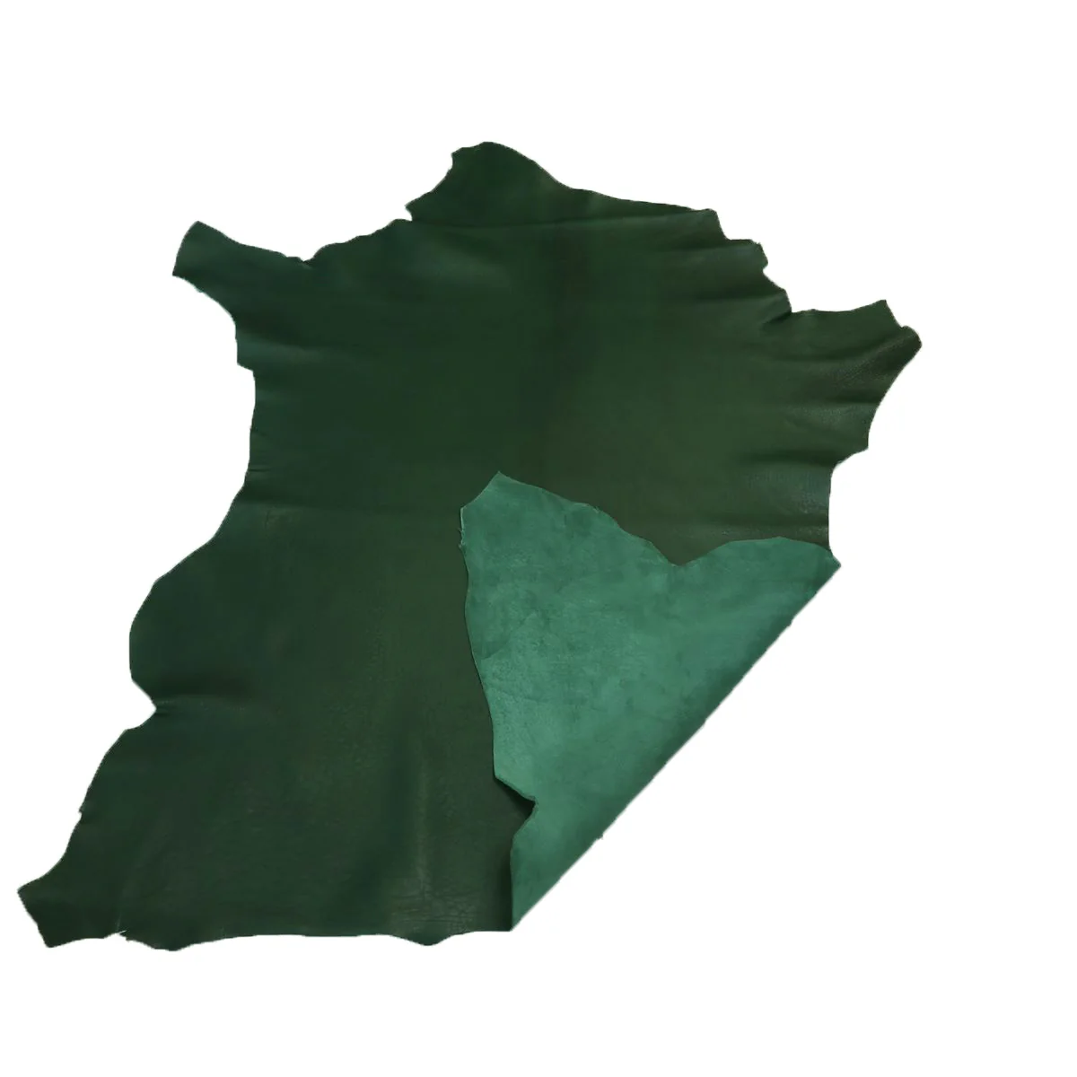 Peau entière de cuir de basane FRANCE - ANILINE - VERT BAF05 - Image 4